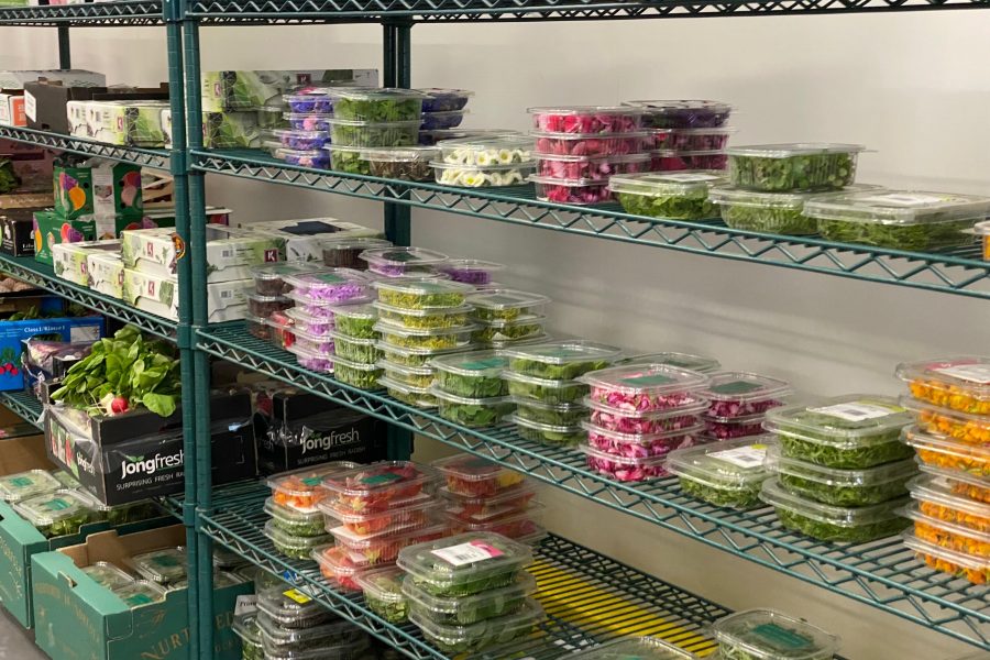 New Covent Garden Market salad