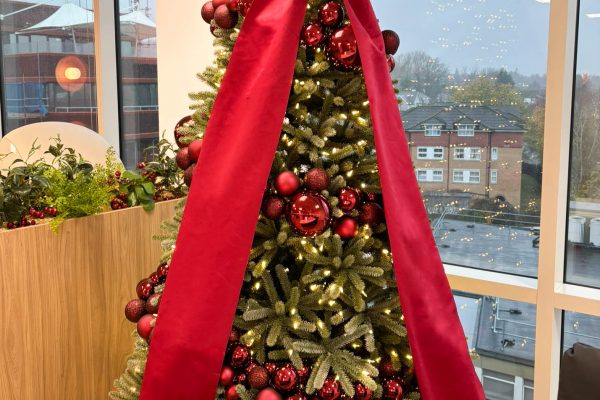 Redhill Office Fit Out