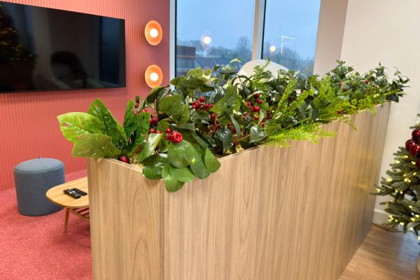 Redhill Office Fit Out